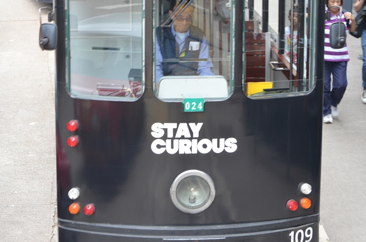 stay curious - trolly