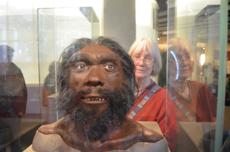 Smithsonian Museum of Natural History Washington DC Narda finds a man