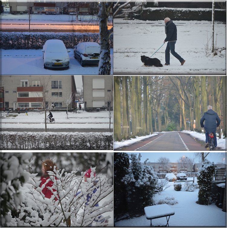 series-of-photos-in-snow