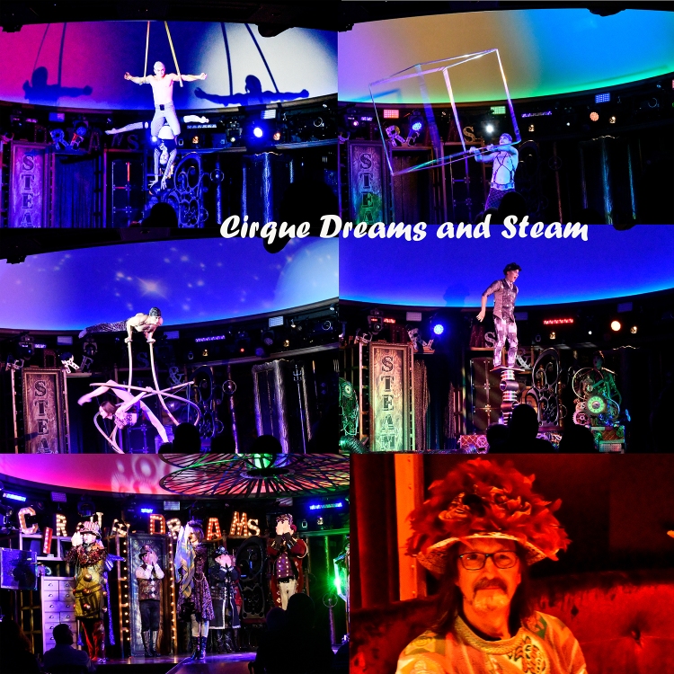Cirque Dreams and Steam